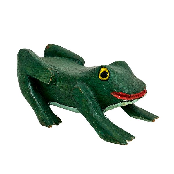 Sapo PP - Etnia Ticuna - AM
