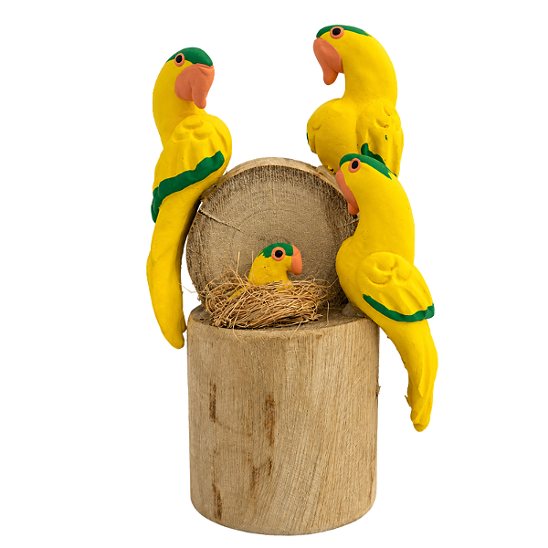 Trio de Arara Amarelinha - Olinda - MS