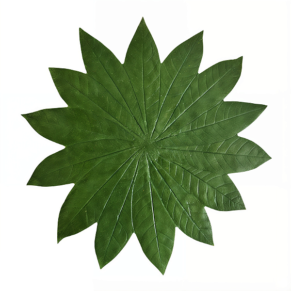 Folha em Látex G Seringueira Verde - Kazumbá - AC