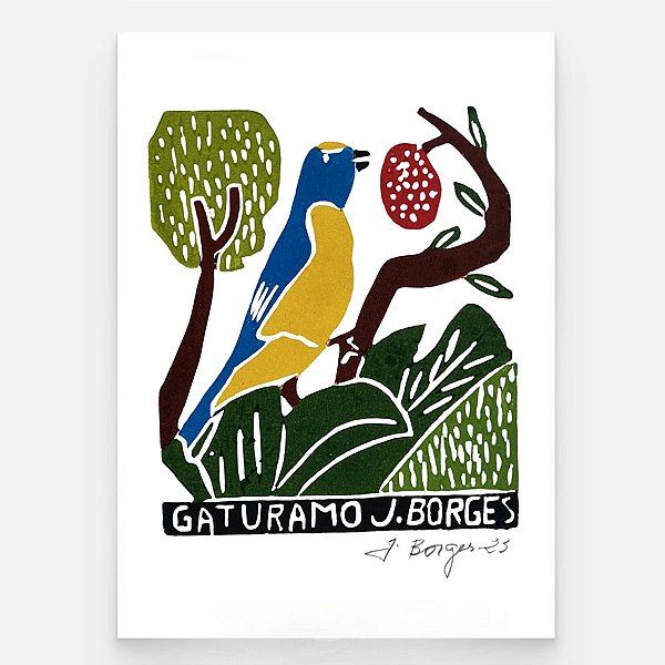 Xilogravura "Gaturamo" P - assinada por J. Borges - PE (Raridade)