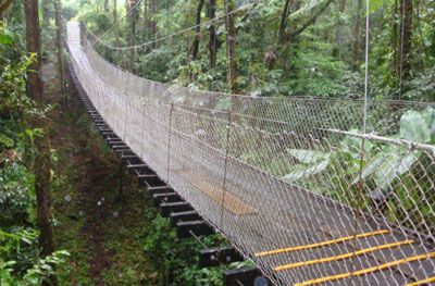 Rede para Pontes Travessias (Parques, Árvores, Sitios...)