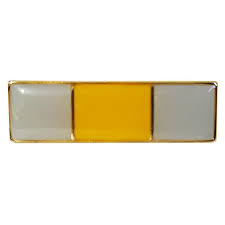 DISTINTIVO DE CLASSE AVANÇADA METAL - PIONEIRO DE NOVAS FRONTEIRAS