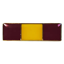 DISTINTIVO DE CLASSE AVANÇADA METAL - EXCURSIONISTA NA MATA