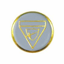 DISTINTIVO DE CLASSE REGULAR - PIONEIRO