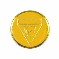 DISTINTIVO DE CLASSE REGULAR - GUIA