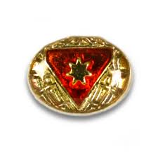 DISTINTIVO DE LIDER MASTER