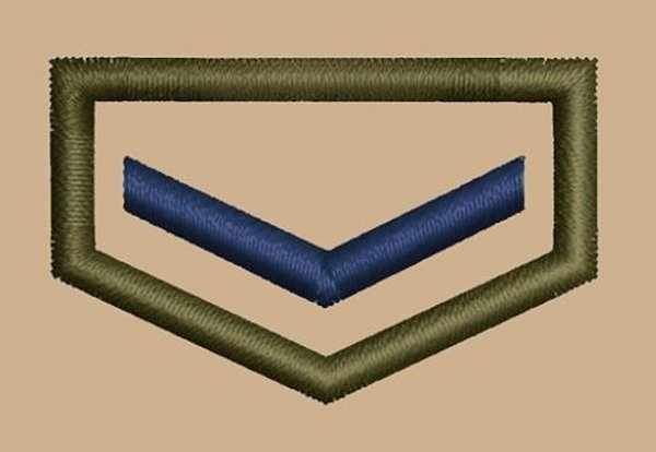 DIVISA DE CLASSE CAQUI INDIVIDUAL - AMIGO