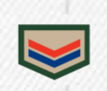 DIVISA CLASSE CAQUI AGRUPADA - COMPANHEIRO