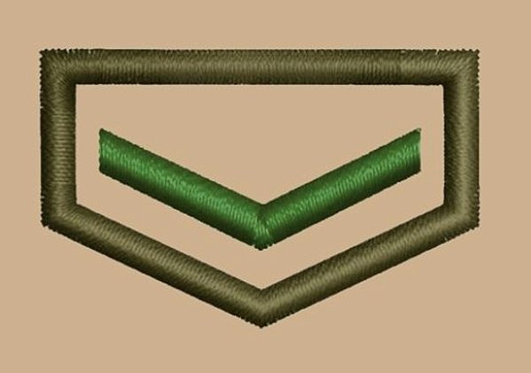 DIVISA CLASSE CAQUI INDIVIDUAL – PESQUISADOR