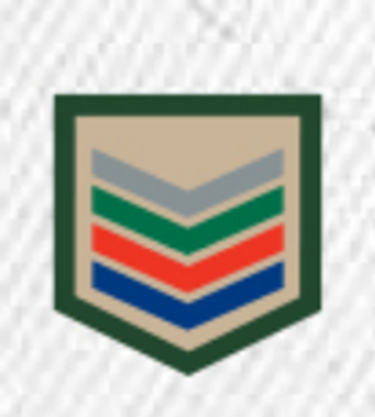 DIVISA CLASSE CAQUI AGRUPADA – PIONEIRO