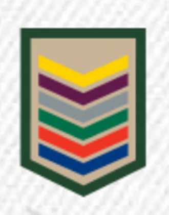 DIVISA CLASSE CAQUI AGRUPADA – GUIA