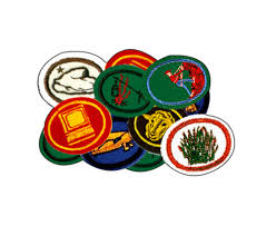 ESPECIALIDADES DE DESBRAVADORES FEITAS EM FELTRO