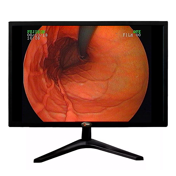 Monitor semi profissional Led FHD Tela 24' Polegadas 60hz Entrada HDMI VGA AV RCA
