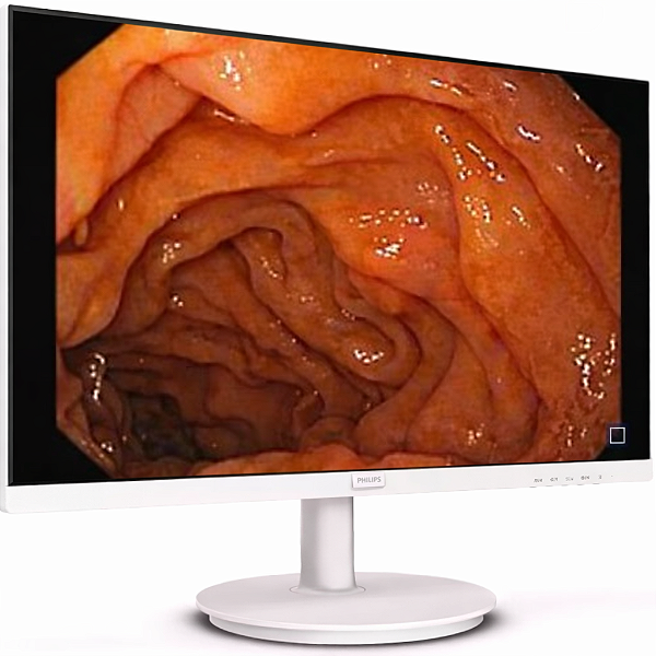 Monitor Profissional FULL
