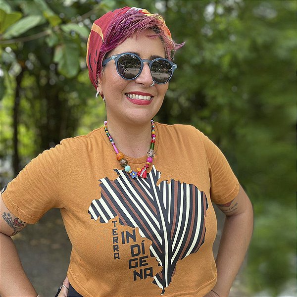 Cropped Brasil Terra Indígena