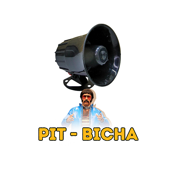 Buzina Eletrônica 12 Sons, Kd A Seta !!!, Pit-bicha E Outros