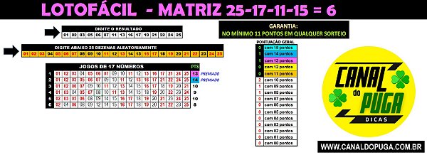 Planilha Lotofacil - 25 Dezenas Combinadas em Jogos de 17 Numeros