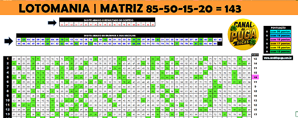 Planilha Lotomania | Fechamento 85 Dezenas sem Fixas com Garantia