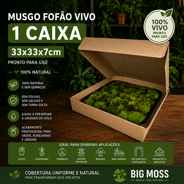 MUSGO FOFÃO VIVO BIG MOSS – CAIXA GRANDE 33x33x7cm
