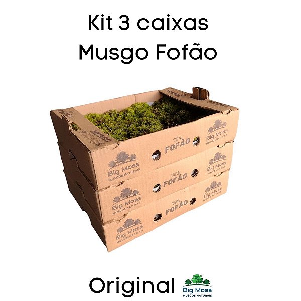 Musgo Fofão Kit 3 Caixas