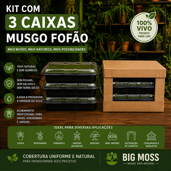 KIT COM 3 CAIXAS DE MUSGO FOFÃO VIVO BIG MOSS – 33x33x7cm