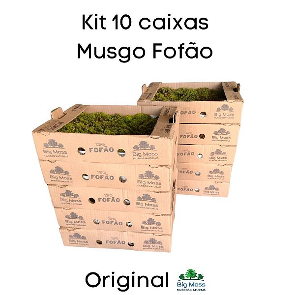Musgo Fofão Kit 10 Caixas