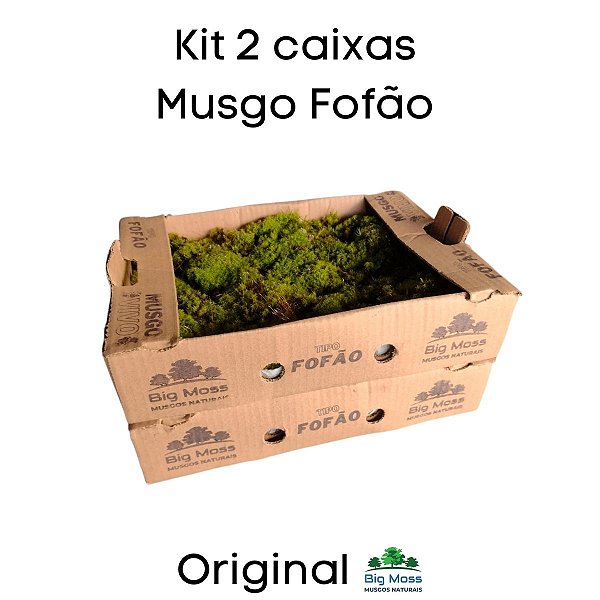 Musgo Fofão Kit 2 Caixas