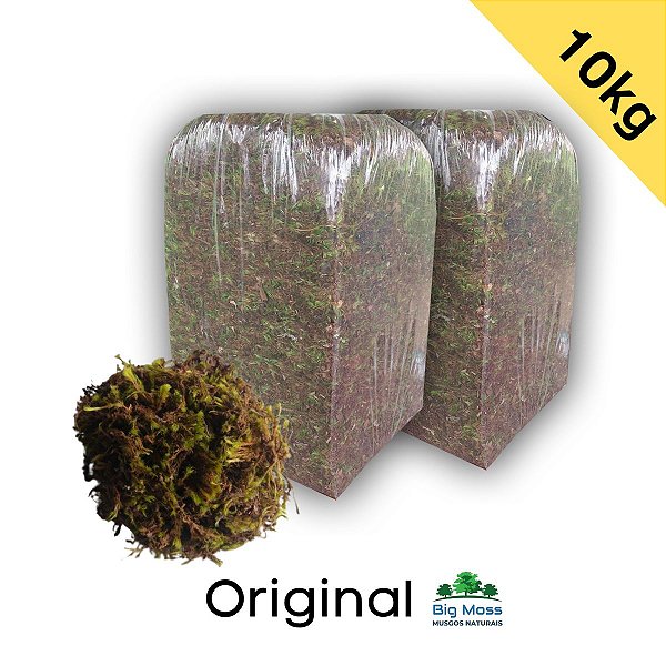 10kg Musgo Verde Tipo Graminha kit 2 pcts de 5kg
