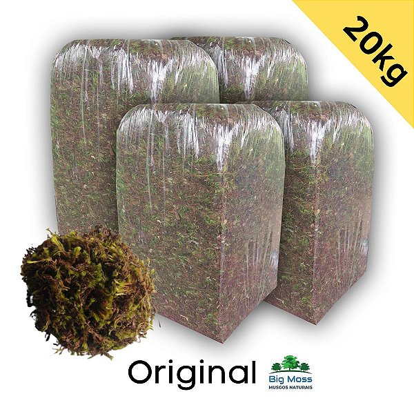 20kg Musgo Verde Tipo Graminha kit com 4 pcts de 5kg