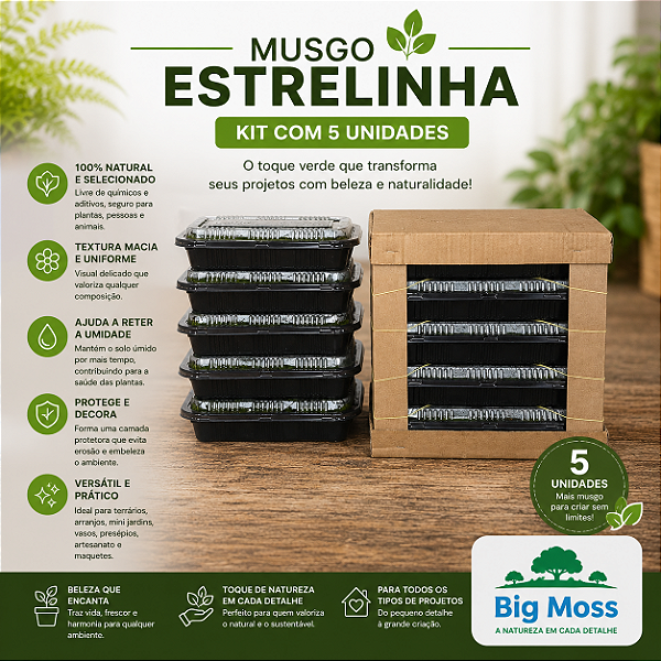 KIT COM 5 MUSGOS ESTRELINHA VIVOS BIG MOSS
