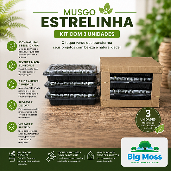 KIT COM 3 MUSGOS ESTRELINHA VIVOS BIG MOSS