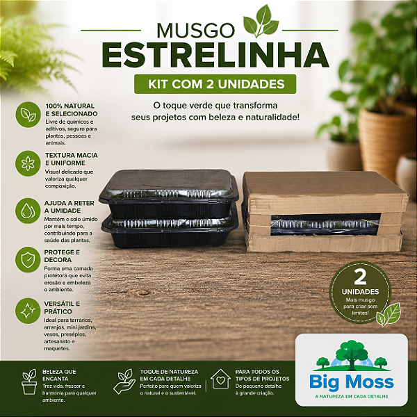 KIT 2 BANDEJAS DE MUSGOS ESTRELINHA VIVOS BIG MOSS 33x33x7cm