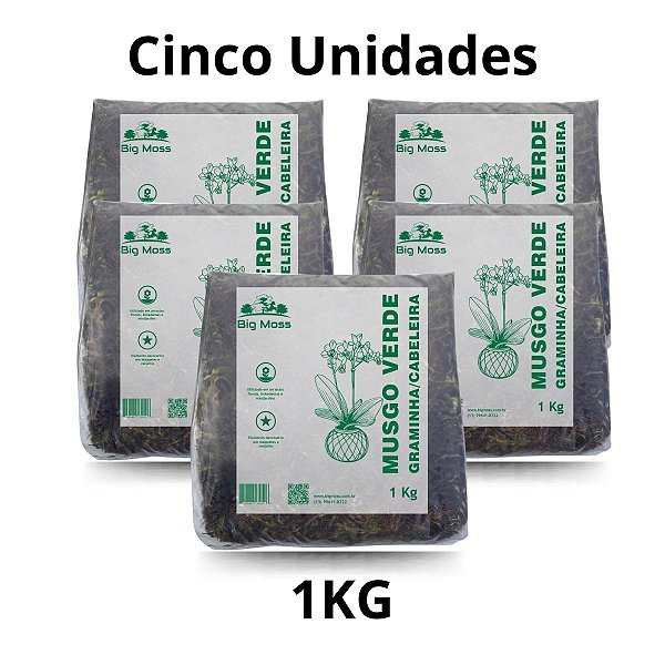 05kg Musgo Verde Tipo Graminha Kit 5 pcts 1kg