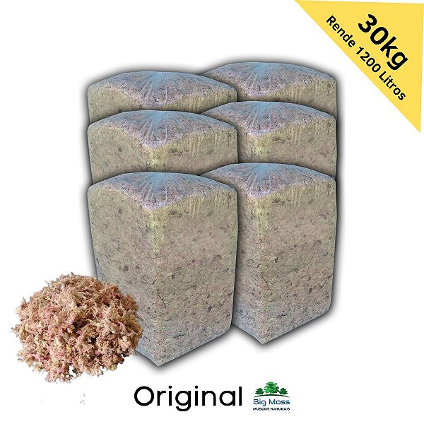 30kg Musgo Esfagno Kit 6 pcts 5kg