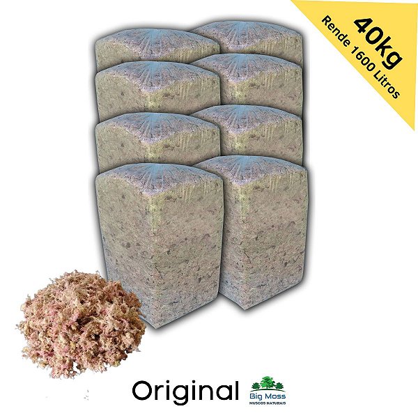 40kg Musgo Esfagno Kit 8 pcts 5kg