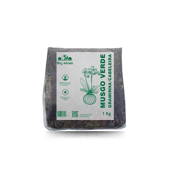 01Kg Musgo Verde Tipo Graminha
