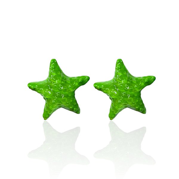 Brinco Bijuteria Sereismo Estrela