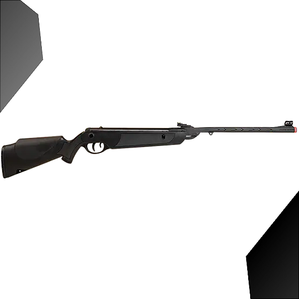 Carabina de Pressão Dione Sport 5,5mm Mola - Rossi