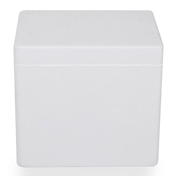 Caixa Térmica Em EPS Parede Tripla 20 Litros