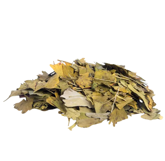 Ginkgo Biloba folha a granel 1kg