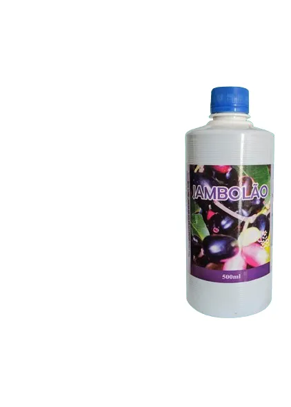 Jambolão Fonte Verde | 500ml