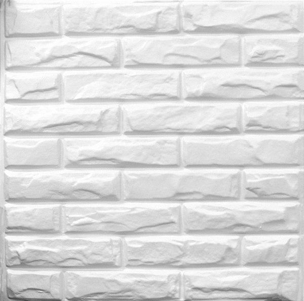 PLACA 3D POLIESTIRENO - CANJIQUINHA