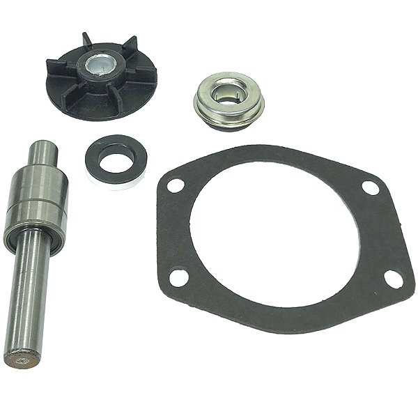 REPARO DA BOMBA DAGUA - (PERKINS 3152 - INDISA) - MF 50X / 55X / 235-  7000156000 - UR319 - 315290