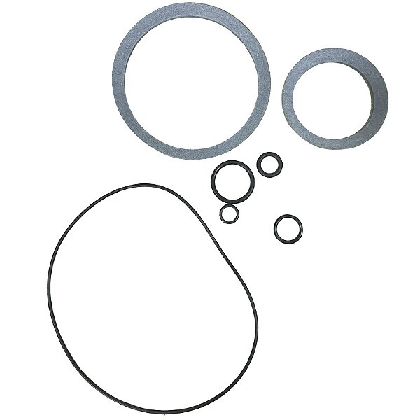 KIT VEDAÇÃO DO MOTOR PICADOR JOHN DEERE CAMECO - REPARO MOTOR CHARLYNN SERIE 10000 - 400431 A1 – 456925 – CASE - 0330008611