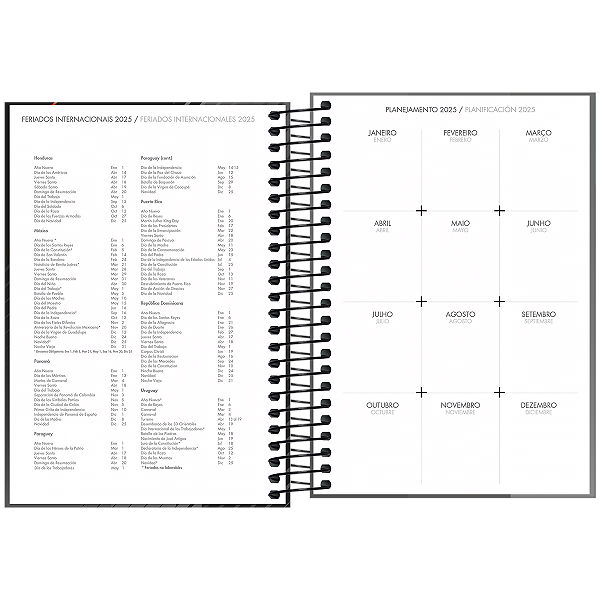 Agenda 2025 Executivo Spot Diária Espiral Capa Dura M5 (12,9 X 18,7cm) 200 Folhas Tilibra Ref: 110591