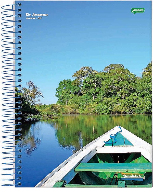 Caderno 10 x 1 Matérias Universitário Brasilidade Espiral Capa Dura 200 folhas Jandaia Ref 08144-55