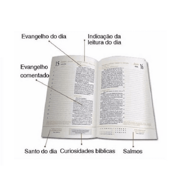 Diário Bíblico 2024 Laranja Brochura Capa Plástica Ave Maria