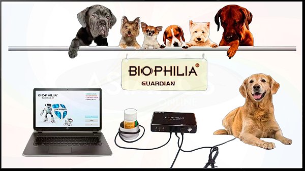 Analisador NLS Biophilia Guardian para Pet Cão Gato Cavalo BB2