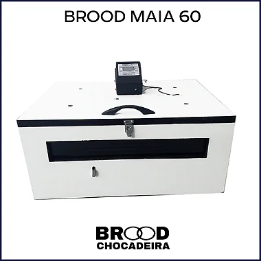 Chocadeira Brood MAIA 60 ovos - (Rancho Souza Alves)