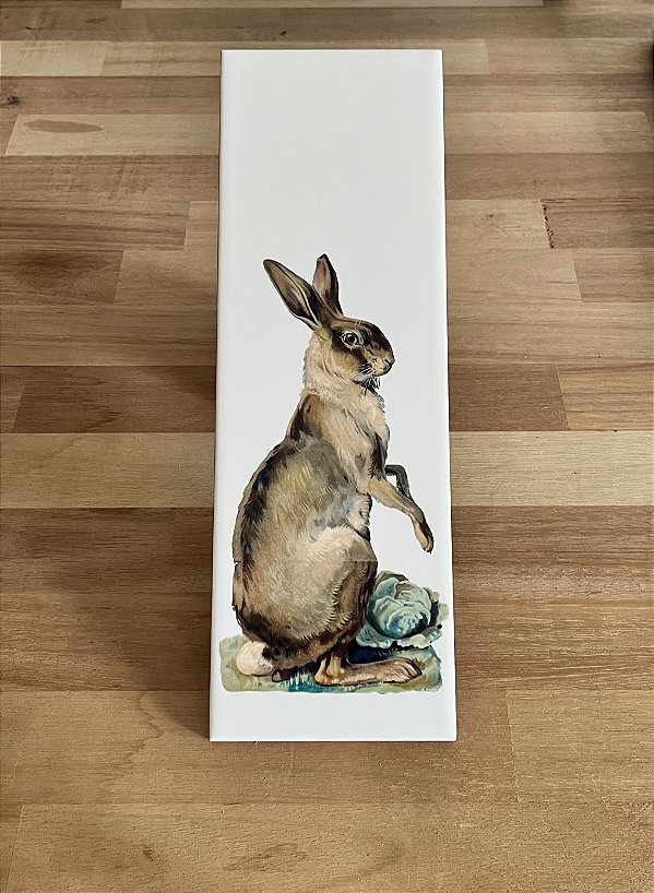 Azulejo 10x30cm - Coelho